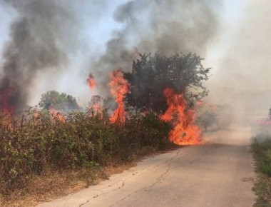Τούρκος συνελήφθη για εμπρησμό στην Εγνατία Οδό